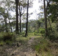 Ringlands Rotary Walk Narooma - Accommodation Directory