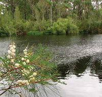 Wallingat National Park - Accommodation Directory