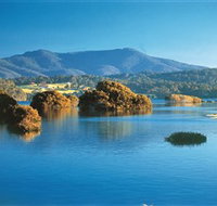 Wagonga Picnic Area - Accommodation Directory