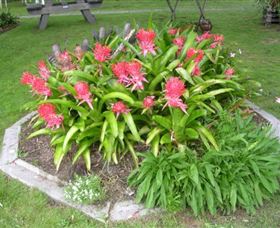 Moorlands Cottage And Gallery - Accommodation Directory 2