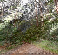 End Peak walking track - Accommodation Directory