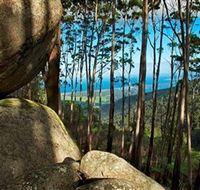 Mount Gulaga Mount Dromedary Walk - Accommodation Directory