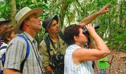 Falls Walking Track - Accommodation Directory 0