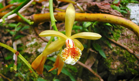 Falls Walking Track - Accommodation Directory 1