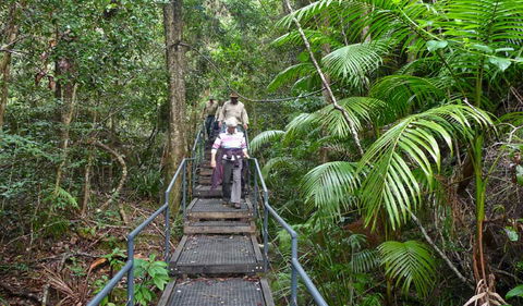 Falls Walking Track - Accommodation Directory 2