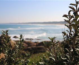 Cape Conran Coastal Park - Accommodation Directory 0