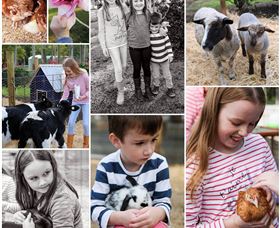 Roses Vineyard And Animal Farm - Accommodation Directory 1