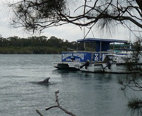 Dunbogan Boatshed - Accommodation Directory 2