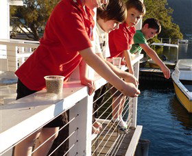 Dunbogan Boatshed - Accommodation Directory 3