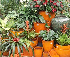 Diamond Waters Garden Nursery - Accommodation Directory 1