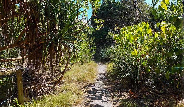 New Brighton NSW Accommodation Directory
