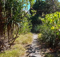 North Head walking track - Accommodation Directory
