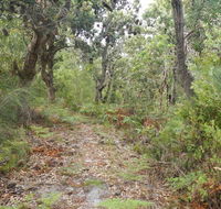 Kinchela Trig Lookout walk - Accommodation Directory