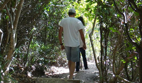 Three Sisters Walking Track - Accommodation Directory 0