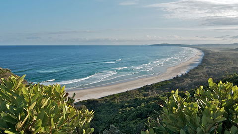 Cape Byron State Conservation Area - Accommodation Directory 0