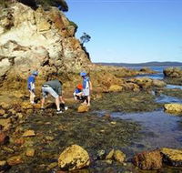 Sapphire Coast Marine Discovery Centre - Accommodation Directory