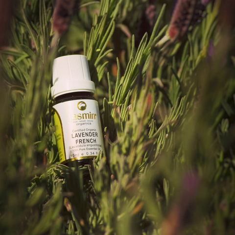 Jasmin Organics Skincare Farm And Factory - Accommodation Directory 7