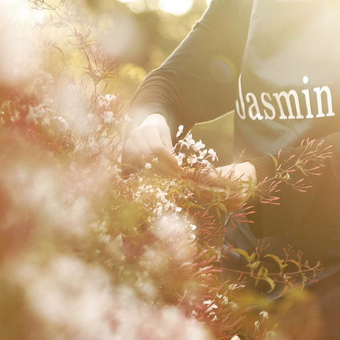 Jasmin Organics Skincare Farm And Factory - Accommodation Directory 8
