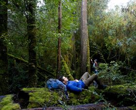 The Tarkine Drive - Accommodation Directory 0