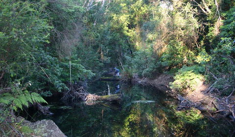 Nadgee Nature Reserve - Accommodation Directory 2