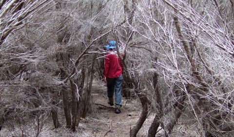 Nadgee Nature Reserve - Accommodation Directory 3