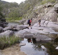 Nadgee Wilderness Walk - Accommodation Directory