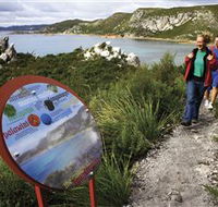 Rocky Cape National Park - Accommodation Directory