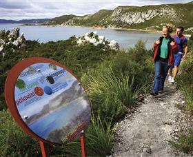 Rocky Cape National Park - Accommodation Directory 0