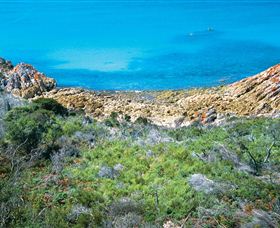 Rocky Cape National Park - Accommodation Directory 3