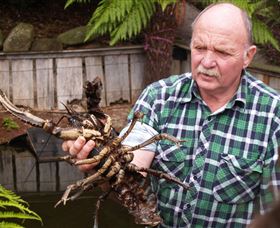 Lobster Ponds - Accommodation Directory 0
