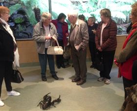 Lobster Ponds - Accommodation Directory 1