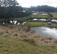 Guide Falls Farm - Accommodation Directory