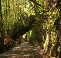 Philosopher Falls - Accommodation Directory