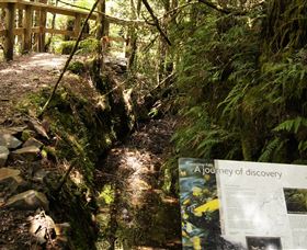 Philosopher Falls - Accommodation Directory 1