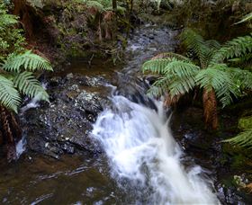 Philosopher Falls - Accommodation Directory 4