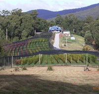 Motton Terraces - Accommodation Directory