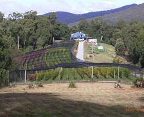 Motton Terraces - Accommodation Directory 0
