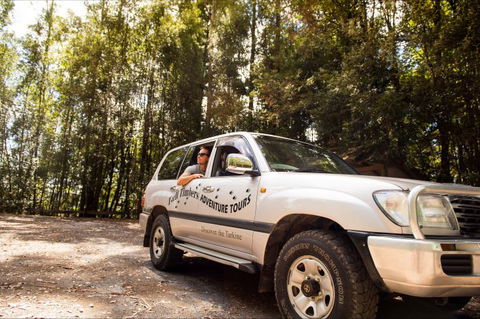 Tall Timbers Adventure Tours - Accommodation Directory 11