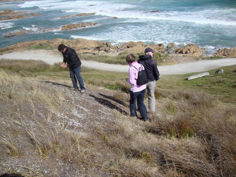 Tall Timbers Adventure Tours - Accommodation Directory 12