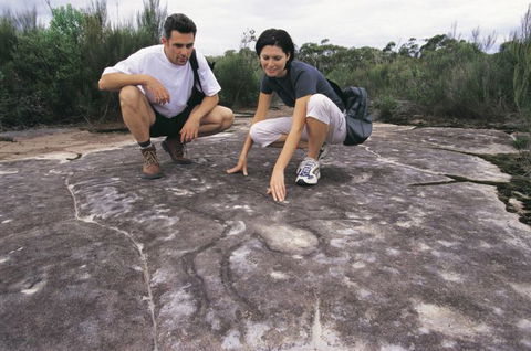 Sydney Coast Walks - Accommodation Directory 3