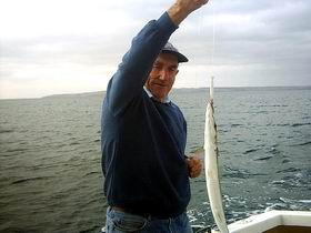 Tory M Fishing Charters - Accommodation Directory 1