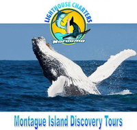 Lighthouse Charters Narooma - Accommodation Directory