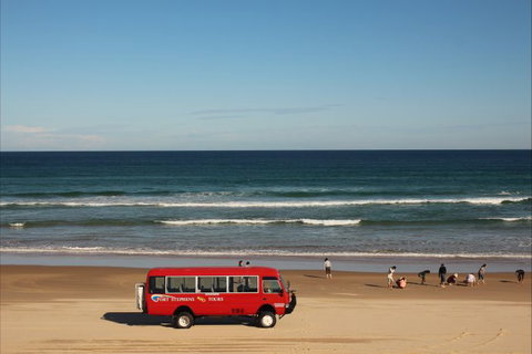Port Stephens 4WD Tours - Accommodation Directory 8