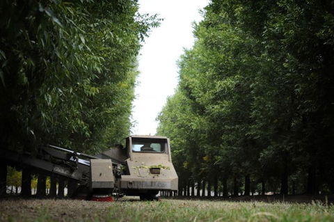 ODempseys Charters And Tours - Accommodation Directory 0