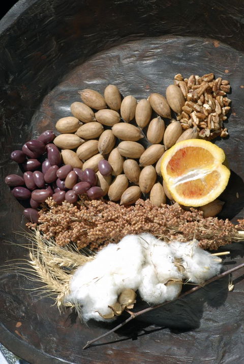 ODempseys Charters And Tours - Accommodation Directory 2