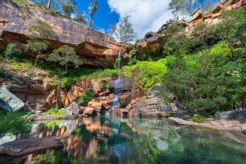 Dig The Tropic Four Day Drive - Accommodation Directory 2