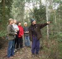 Great Western Tiers Forest Walks Tasmania - Accommodation Directory