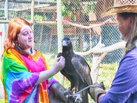 Perth-Tours WA - Accommodation Directory 14