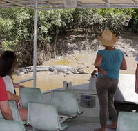 Whitsunday Crocodile Safari - Accommodation Directory