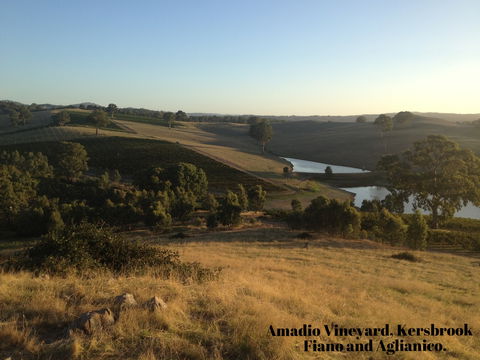 La Prova Wines - Accommodation Directory 3